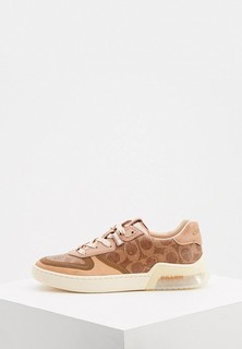 Кеды Coach