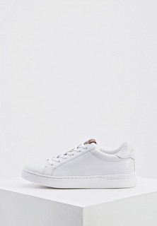 Кеды Coach