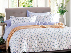 Постельное белье из сатина ASABELLA 1237-6 50х70 (2шт), 70х70 (2шт) евро