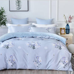 Постельное белье из сатина ASABELLA 1260-6 50х70 (2шт), 70х70 (2шт) евро