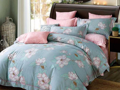Постельное белье из сатина ASABELLA 1205-6 50х70 (2шт), 70х70 (2шт) евро