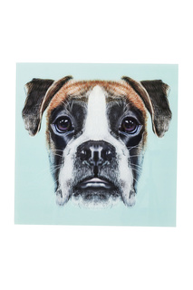 Картина Dog Face 60х60 см Kare