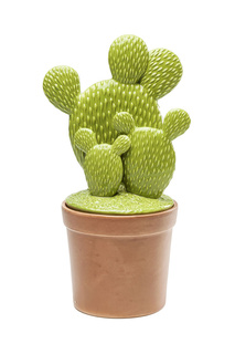 Статуэтка Kaktus Pot Kare
