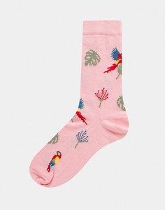Розовые носки до щиколотки с принтом попугаев ASOS DESIGN-Розовый