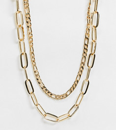 Ожерелье в несколько рядов из золотистых цепочек ASOS DESIGN Curve-Золотой