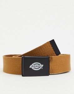Коричневый ремень Dickies