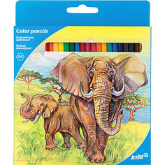 Карандаши цветные Kite Животные, 24 цвета