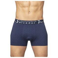 Salvador Dali Трусы боксеры в крапинку, размер XXXL, синий