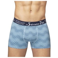 Salvador Dali Трусы боксеры с принтом, размер M, синий