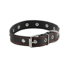 Ошейник Homepet 51215 28-38 см черный
