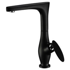Смеситель для кухни (мойки) KAISER Star 02044-2 однорычажный черный матовый