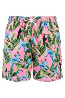 Купальные шорты с тропическим принтом MC2 Saint Barth