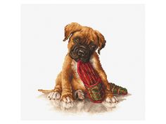 Набор для вышивания Luca-S "Боксер"