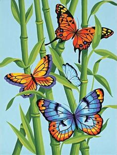 Картина по номерам Molly "Яркие бабочки", 20x30