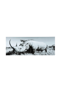 Картина Rhino 60х160 см Kare