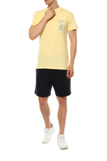 Шорты Quiksilver