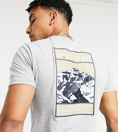 Серая футболка The North Face Faces эксклюзивно для ASOS-Серый