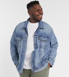 Светлая джинсовая куртка Levis Big & Tall-Синий Levis®