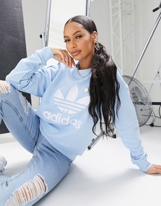 Бело-голубой свитшот с логотипом-трилистником adidas Originals-Синий
