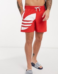 Красные шорты для плавания с большим трилистником adidas Originals-Красный