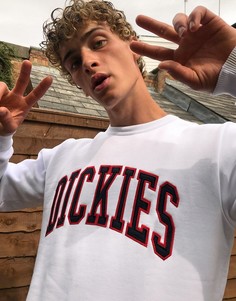 Белый свитшот Dickies