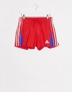Красные шорты adidas Training-Красный
