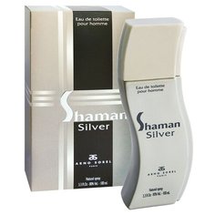 Туалетная вода Arno Sorel Shaman Silver, 100 мл