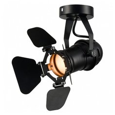 Спот Lussole Thornton LSP-9838