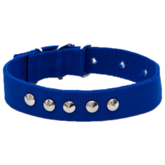 Ошейник Пижон Клепаный (2514389-2514392), 48.5 см синий