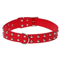Ошейник Пижон клепаный в 2 ряда (1290898-1290901), 65.5 см красный