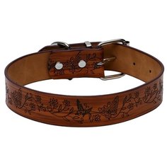 Ошейник Пижон Бабочки (3652832), 55 см коричневый