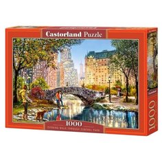 Пазл Castorland Вечерняя прогулка по Центральному парку (C-104376), 1000 дет.