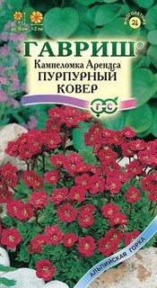 Семена цветов Гавриш Камнеломка Арендса Пурпурный ковер 10 шт. по 0,01 г