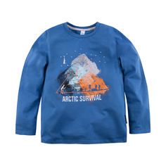 Лонгслив Bossa Nova для мальчика Weekend цвет голубой размер 36 р. 134-140