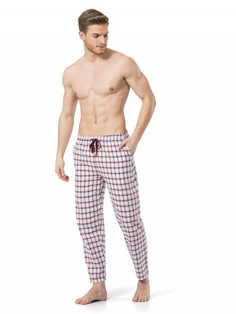 Брюки мужские Cacharel 2173 бордовые L
