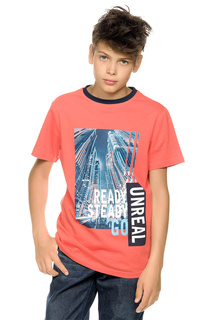 Футболка Pelican