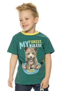 Футболка Pelican