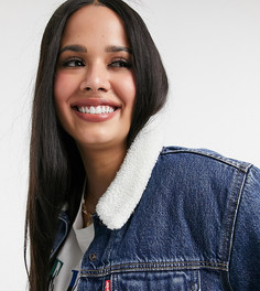 Темно-синяя джинсовая куртка с искусственным мехом Levis Plus-Синий