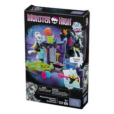 Конструктор Mega Bloks Monster High DPK31 Физические смертожнения