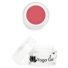 Пластилин Nano Professional Yoga Gel 20 колесо мира
