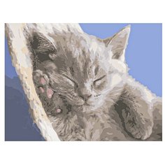 Рыжий кот Картина по номерам "Спящий котёнок" 30х40 см (Х-9086)