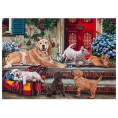 Рыжий кот Картина по номерам "Ретриверы на крыльце" 40х50 см (Х-3463)