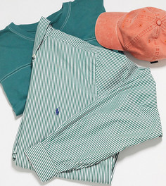 Рубашка в зеленую/белую полоску с логотипом Polo Ralph Lauren Big & Tall-Зеленый