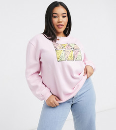 Розовый свитшот в стиле oversized с принтом Daisy Street Plus