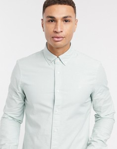Оксфордская рубашка узкого кроя Calvin Klein-Зеленый