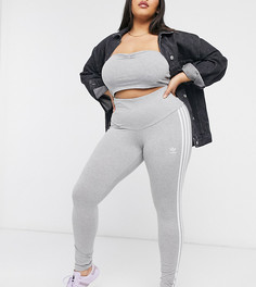 Серые леггинсы с тремя полосками adidas Originals Plus-Черный
