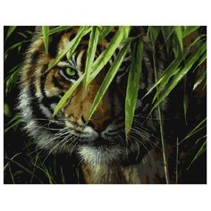 ВанГогВоМне Картина по номерам "Тигр на охоте", 40х50 (ZX 20340)