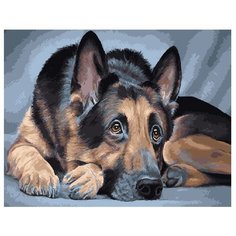 ВанГогВоМне Картина по номерам "Рекс", 40х50 см (ZX 10084)