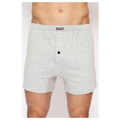 Torro Трусы боксеры свободного покроя, размер XXXXXL, grey