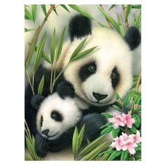 Royal & Langnickel Картина по номерам "Панда с малышом" 22,2х28,9 см (PJS39)